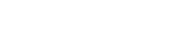 LOGO Veva Palacios blanco